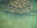 Underwater_180