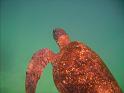 Underwater_460