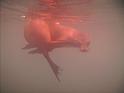 Underwater_670