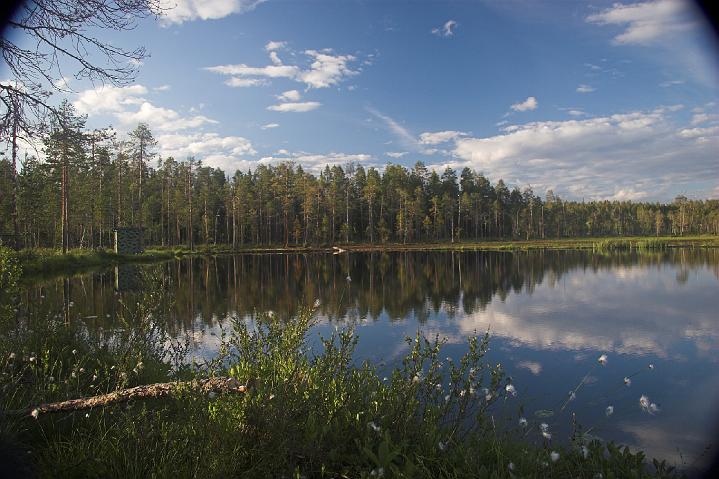 Finland_Bears_578-01.jpg