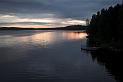 Finland_Bears_003-01