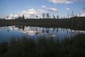 Finland_Bears_292-01