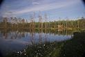 Finland_Bears_580-01