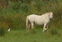 Summer_2008_0330