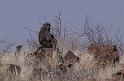 D02_011P_6757