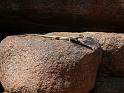 D04_046E_220905