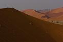 D07_077M_6275