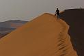 D07_078M_6281