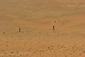 D07_083M_6308