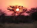 D14_217E_230858
