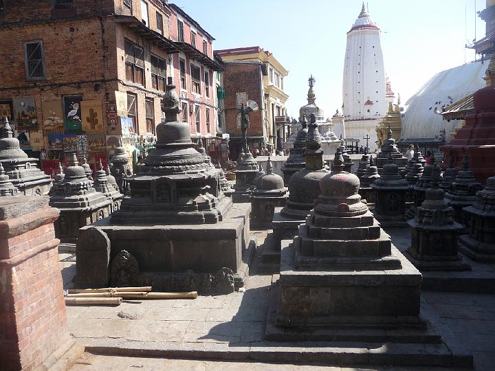 P1010287.JPG