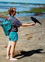 Crow