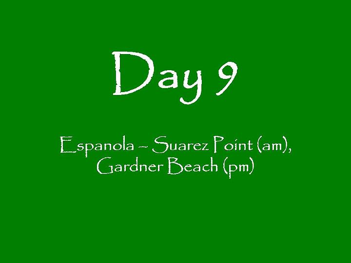 Day_09_009.jpg