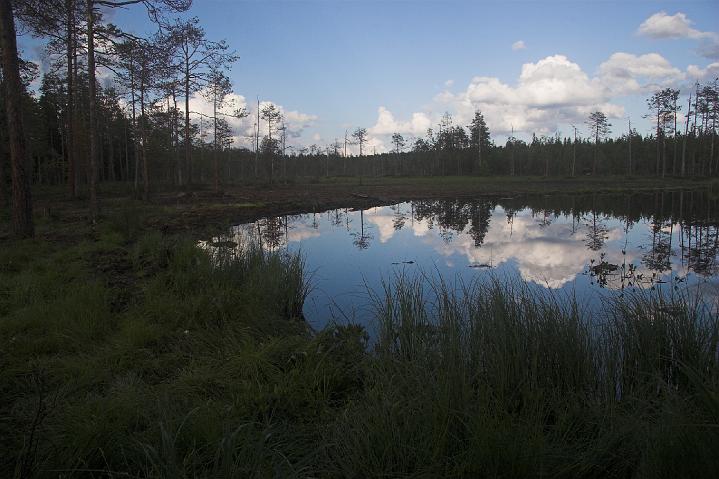 Finland_Bears_293-01.jpg