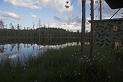 Finland_Bears_290-01