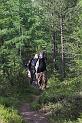 Finland_Bears_453-01