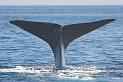 Summer_2008_0434