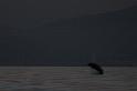 Summer_2008_0583