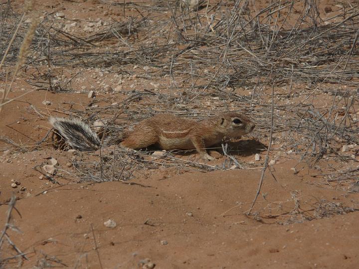 D03_018E_220745.jpg