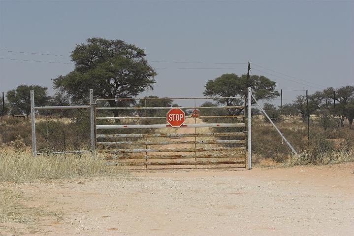 D03_020M_5923.jpg