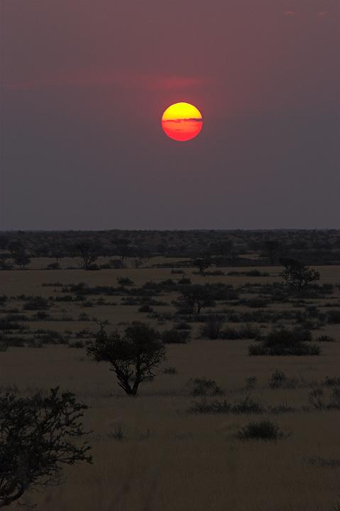 D03_033M_6035.jpg