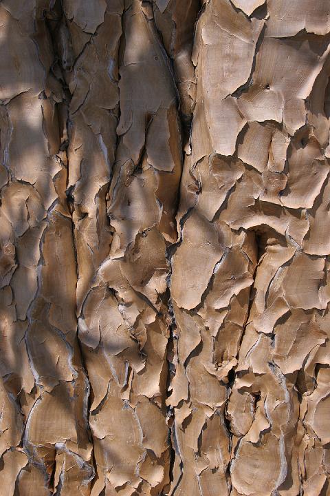 D04_040P_7036.jpg