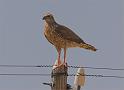D03_019M_5911