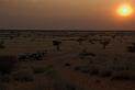 D03_034M_6012