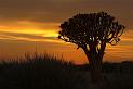 D05_054M_6146