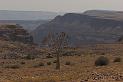 D05_064M_6196