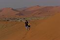 D07_079M_6283